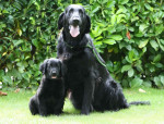 Mama Darcy en dochter Lexy